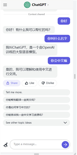 Chat openAI截图