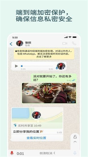 whatsapp安卓最新版本截图