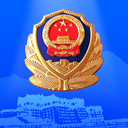 西藏公安政务服务